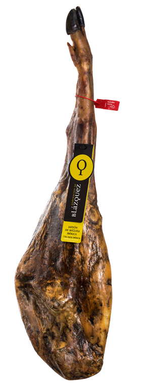 Pieza de jamón ibérico